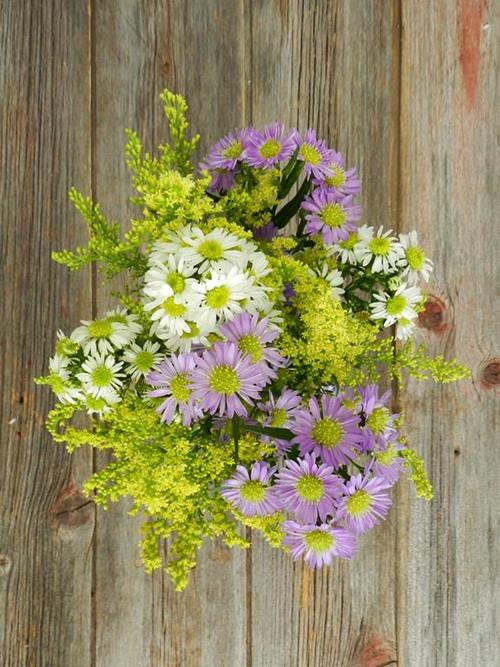 Even Mix Of Purple, Solidago & White  Assorted Aster